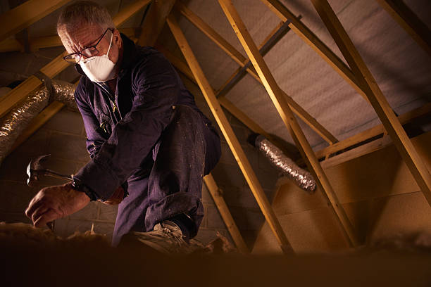 Best Insulation Contractors for Homes  in Bell Acres, PA